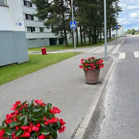 Cosy Puessi Town